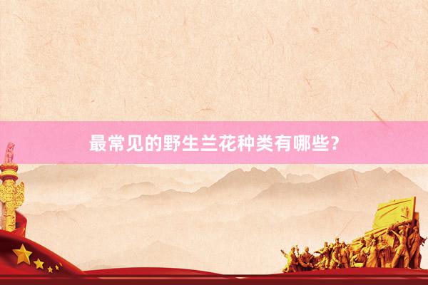 最常见的野生兰花种类有哪些？